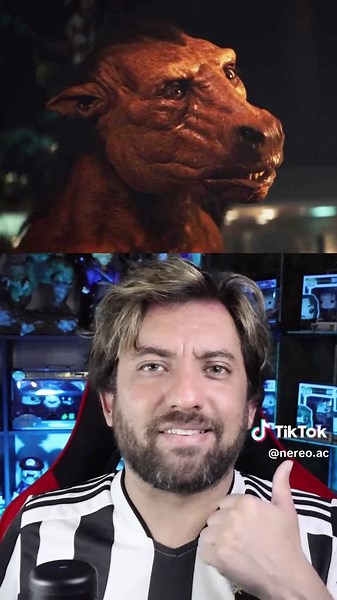 Películas muy bizarras que han llegado al cine 🍿 #peliculas #cine #bizarro #top5 #thelobster #tusk #sorrytobotheryou #swissarmyman #titane #terror #comedia #cineindependiente