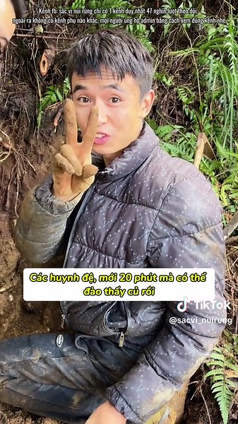 Đại Oa - Nhị Oa - hai anh em cùng đi đào củ hoài sơn rừng #anuong #mukbang #food #viral #xuhuong