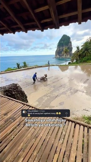 Pantai bernuansa pedesaan bikin betah buat liwetan sambil nikmati alam laut sawah #village #viral