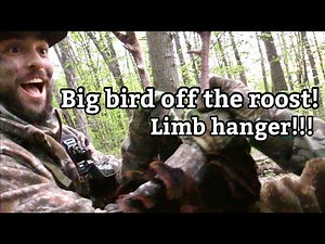 PA long beard off the roost! 3 birds came in!! PA Spring Gobbler Turkey Hunt - Ridge Raised Outdoors