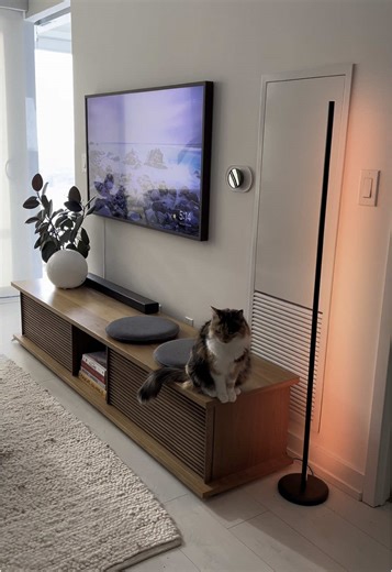 Enhance Your Space with the Nanoleaf Floor Lamp