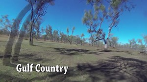 61K views · 2.6K reactions | Chasing wild pigs, boars on atv, quads australia | Hogs Dogs & Quads | Facebook