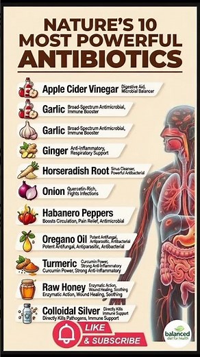 Nature's 10 Most Powerful Natural Antibiotics (2026) – Garlic, Honey, Turmeric & More