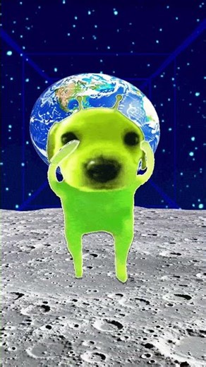 alien Dog brah 🤣🤣😎