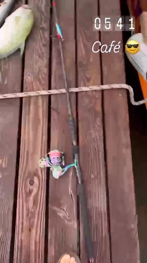 6.9K views · 139 reactions | RAIATEA AVERA  DOUBLE STRIKE au lever du soleil pour ce client Bon dimanche et café maitai 拾 #stickbait25g #raiatea #wildattack #polynesianfisherman #wildattack | Manuia Fishing | Facebook