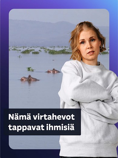 Virtaheposyyt Naivashassa: Monet kohtalot vaarassa