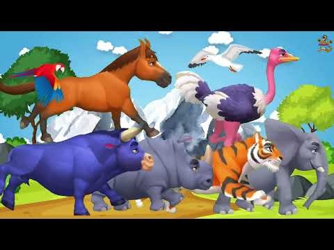 Farm ABC Animal Sounds Song for Kids | Learn Animal Names & Soundsfarm animal ali asif 009
