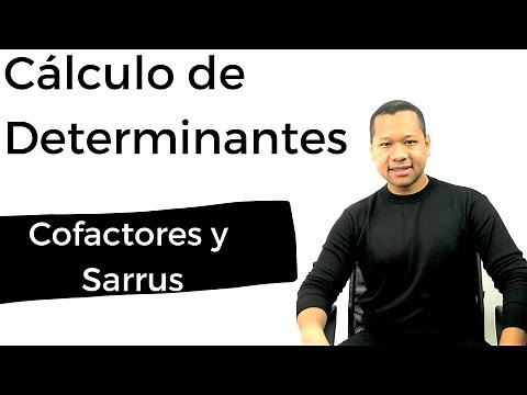 Cálculo de determinantes matrices 3x3 | Cofactores y Sarrus