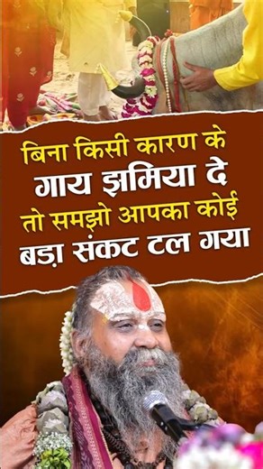 बिना किसी कारण के यदि गाय आपको झमिया दे तो समझो आपका कोई बड़ा संकट टल गया | #jadkhor #savecows