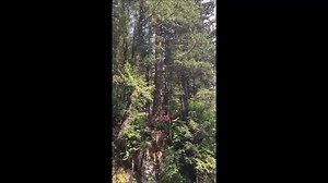 NO COMMENTS | 18 News Channel