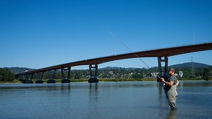 Pink salmon return expected to boost local fisheries, wildlife