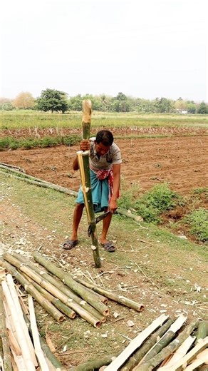 Splitting Bamboo for Making Frame #shorts