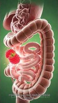 What Happens to Your Body 🤯 When You Eat Raspberries? 🍓 | Digestion & Health Explained #shortsfeed