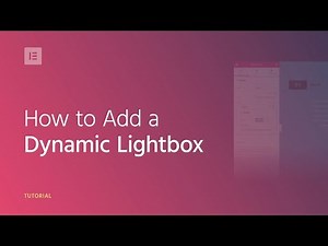 How to Add a Dynamic Lightbox to Your WordPress Website