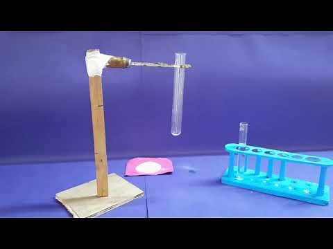 10th Science, Activity 2.5