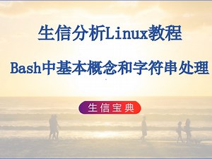 11 Bash中基本概念和字符串处理，整体回顾，脚本参数