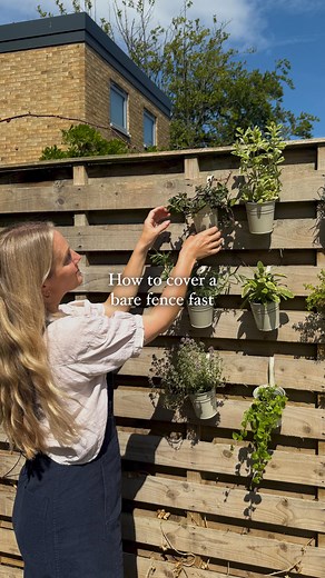 101 reactions · 7 comments | How to cover a bare fence fast | Petals & Roots: Episode 16 A bare fence can be an eyesore in your garden but @rachelbullgardens’ easy trick to cover it is both pretty and practical, providing your kitchen with plenty of herbs. | Homes & Gardens Magazine | Facebook
