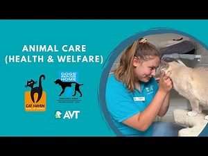 How to work with animals - Certificate II in Animal Care (Health & Welfare) Course