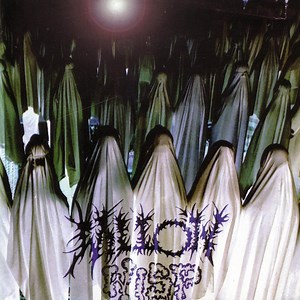 Willow Wisp Concert & Tour History (Updated for 2025) | Concert Archives