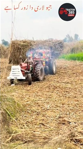 Field King 640 | Pure Diesel Performance #followforfollowback #foryou #subscribe #like