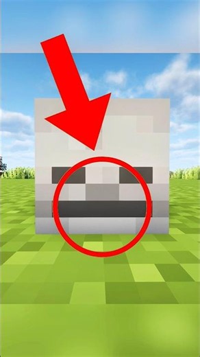 Minecraft Skeleton Head Je Andar Kya hai🤯?#shorts