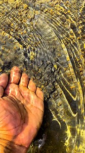 Gold prospector. . #gold #goldmine #goldhunting #blacksand #golddiscovery #goldprospecting #goldprospector #goldenriver #goldpanning #goldhunter #gold nugget | Edwin Saputra