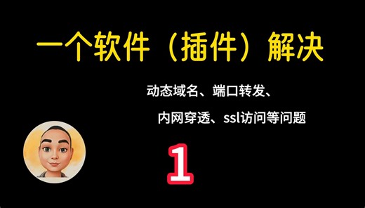 一个软件(插件)解决动态域名、端口转发、内网穿透、ssl等问题