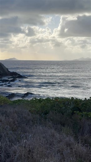 Wordless Wednesday 💛 #gotostcroix #wordlesswednesday #morningview #islandlife #itsthelittlethings #stcroix #usvi #usvirginislands | GoToStCroix.com