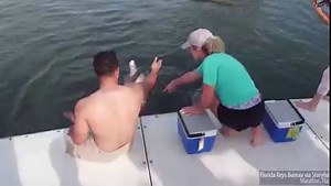 24K views · 996 reactions | DOLPHIN THERAPY!  These wounded veterans had a fun time swimming and playing with dolphins, but it was all part of the Wounded Warrior Project initiative to provide them mental health therapy. STORY: https://bit.ly/3tlV5yQ | FOX 13 News - Tampa Bay | Facebook