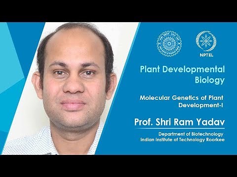 Molecular Genetics of Plant Development-I