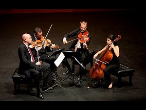 Lana Del Rey - Love (Strings Cover)