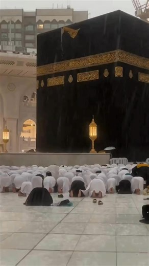 #Let's get this fight night hype train rolling! 🚂💥 Here are some social media content ideas around #fightnight and #MMA: *Pre-Fight Content* 1. Fighter Spotlight: Share intense training montages, interviews, or behind-the-scenes footage of fighters preparing for the big night. 🥊 2. Prediction Polls: Ask your audience who they think will win the fight. 🤔 3. Weigh-in Coverage: Share photos and videos from the weigh-in, highlighting the fighters' intensity and focus. 💪 4. Fight Card Reveal: Cr