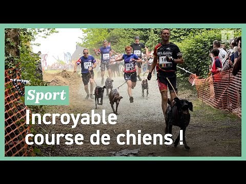 Canicross : les folles images des championnats du monde !