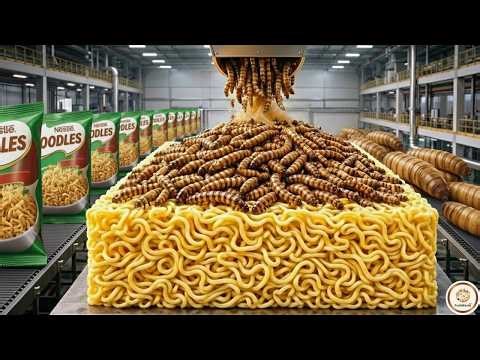Mealworm Instant Noodles Factory Tour | Full High-Protein Process | 60% Protein Noodles From Worms