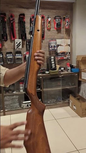 Gamo CFX Royal Airgun #airgun #shortvideo #gamoairgun #cfx #reels