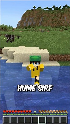 Minecraft Turtle Secret 🐢 #shorts #minecraft