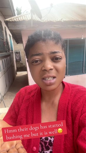 Understanding Canine Behavior During Social Interactions