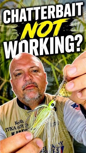 The Secret Weapon Between a Chatterbait & Spinnerbait