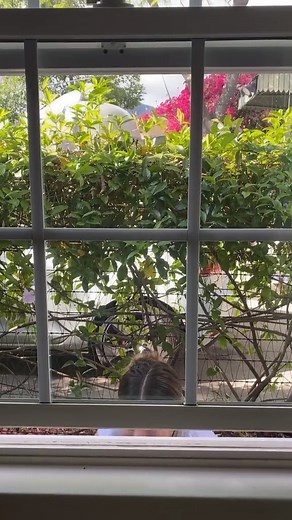 53K views · 542 reactions | rip to my face. dont let this flop | Hannah Stocking | Facebook