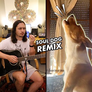 4.4M views · 207K reactions | The Kiffness x Soul Dog - For Sam (Soulful Singing Dog Song) stream buy: bit.ly/KiffForSam I’ve been a dad for about 3 weeks now & my boy Sam has been spending some time with me in studio when mommy is resting. I decided to make this song with Soul Dog for him ❤️ | The Kiffness | Facebook