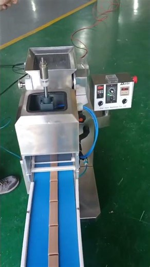 Small Energy Bar Making Machine Shape Protein Bars Your Way! 🥣 | DARIN Extruder Machine