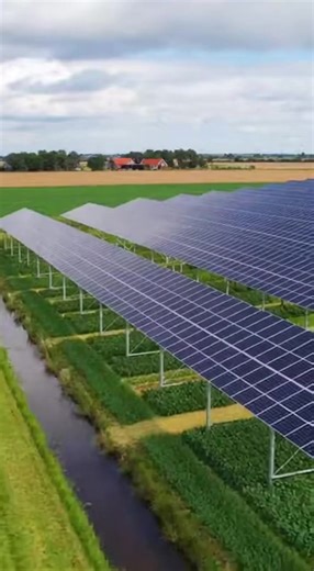 The Netherlands has combined solar panels with active farming across more than 700 acres of land. Known as agrivoltaics, the system allows crops to grow beneath or between solar panels, sharing the same space efficiently. The panels provide shade that can reduce water loss, while farms produce food and electricity simultaneously. Important Details: • Over 700 acres of agrivoltaic land • Crops grown alongside solar panels • Dual food and energy production • Reduced land-use conflict • Lower water