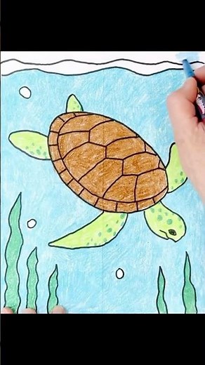 How to Draw a Sea Turtle Short