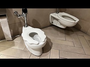 Kohler Primary + Kingston Ultra Toilet Flush | Family Restroom | International Marketplace, Waikiki