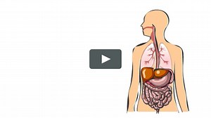 Aspects of Distribution