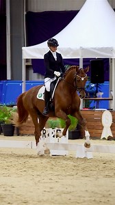 1.8K views · 309 reactions | Naomi Gollings & stallion Keystone Super Sonic, owned by @keystonedressage , in the First Round for 4 year old horses - supported by @4cyte  @unicorn.video.productions | PSI Dressage & Jumping with the Stars | Facebook