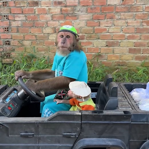 188K views · 4.6K reactions | CUTIS & Baby monkey react strangely when newborn baby gets vaccinated | Mr Chun | Facebook