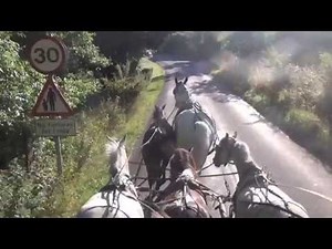 5 in hand carriage driving. 4 ponies and a horse together.