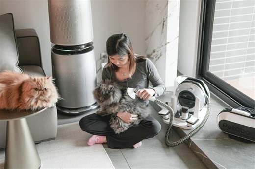 Petaboo寵物洗護革命：告別「戰爭式」美容，在家享受SPA等級呵護 | 熱門亮點 | 商情 | 經濟日報