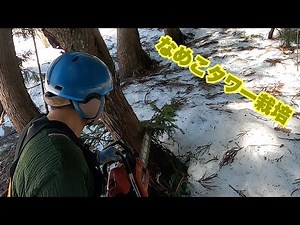 We will attempt to grow a monstrous log-based nameko tower.